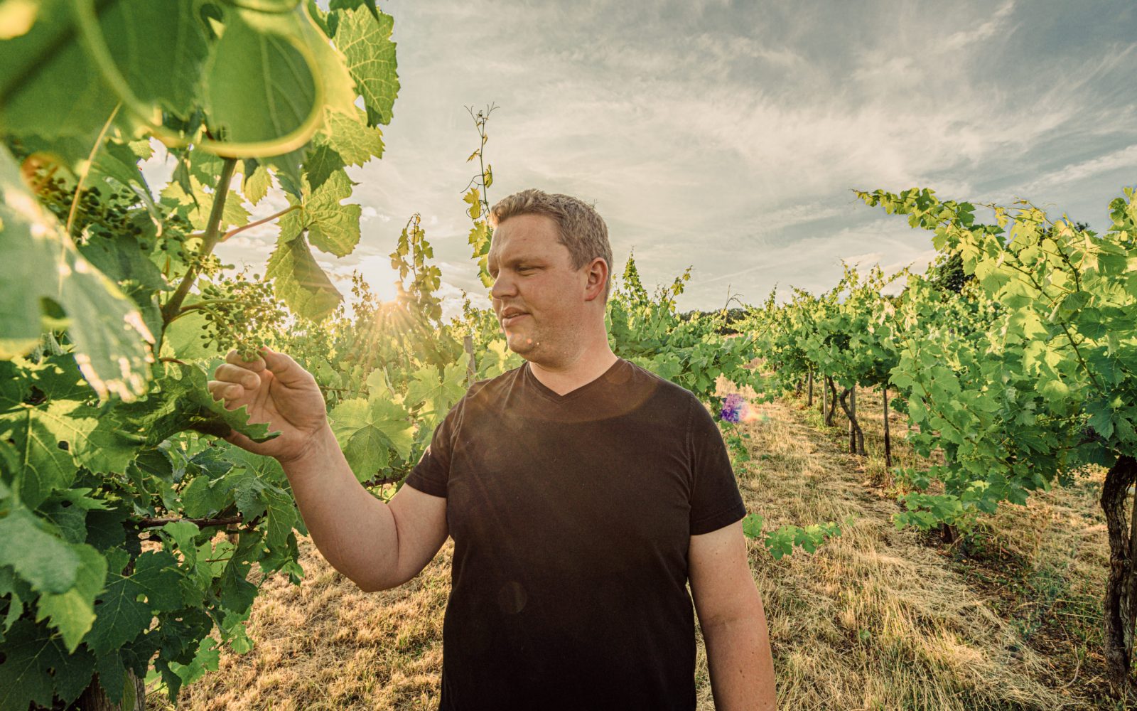 Growers – SISYPHOS Fine Wines